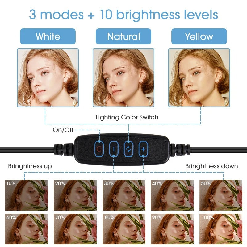 Overhead Tripod Mount, 26cm Ring Light, Gooseneck Skrivebords Telefonholder, stativ og lys